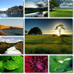 دانلود والپیپرهای فوق العاده زیبا از طبیعت Incredible Nature Wallpapers