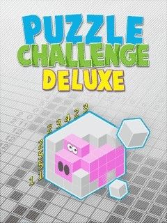 دانلود بازی جدید و سرگرم کننده Puzzle Challenge Deluxe