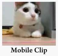 کلیپ موبایل - گربه